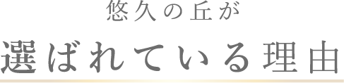 悠久の丘が選ばれている理由